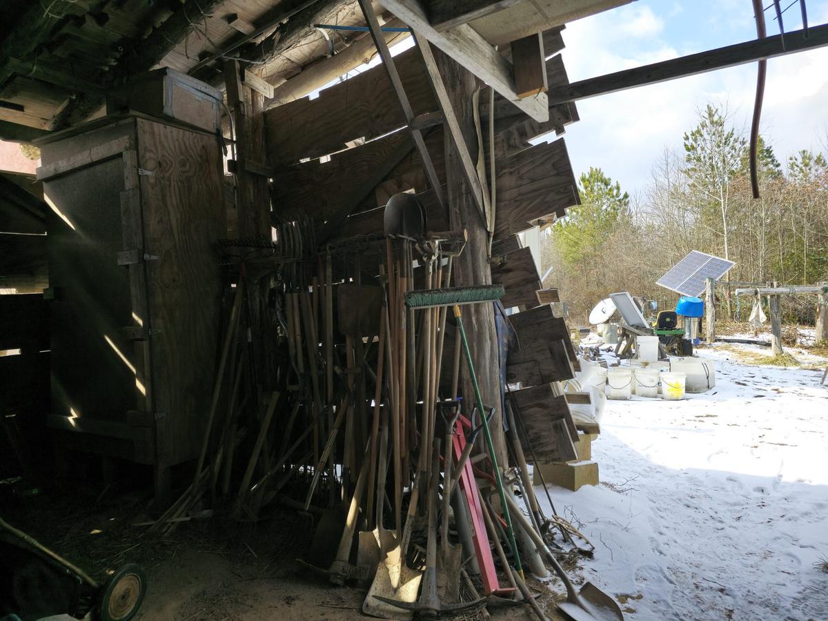 A shed full of shovels, rakes and hand tools, with snow outside.